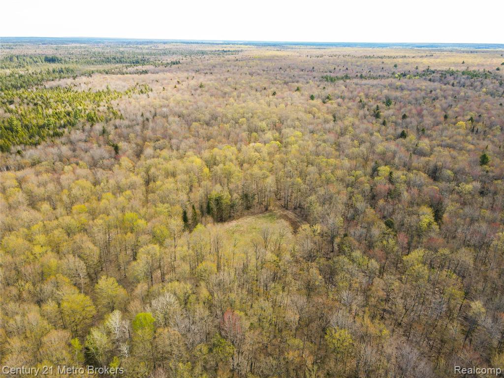 21821 Krenkel, Newberry, MI 49868 — Photo 26