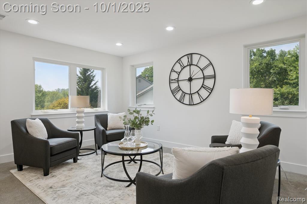 46676 Grand Oak Court, Canton, MI 48187 — Photo 18