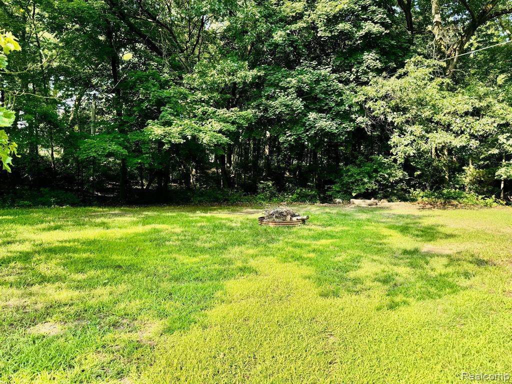 4111 BLOOD Road, Metamora, MI 48455 — Photo 52