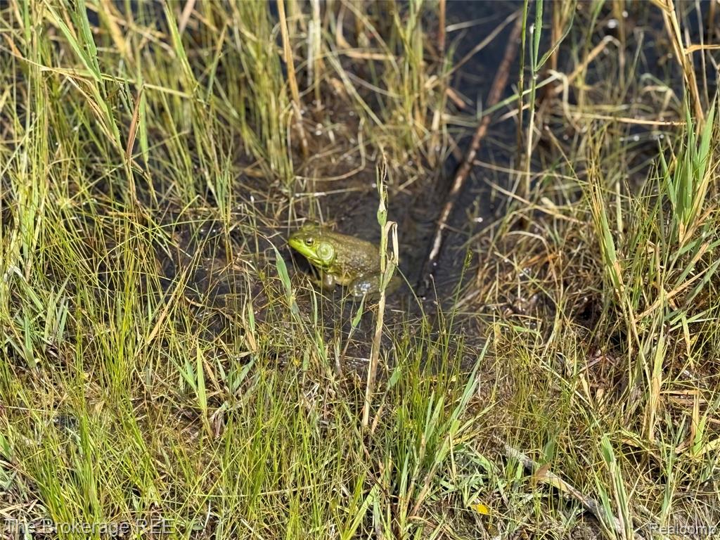 3020 Merwin Road, Lapeer, MI, 48446