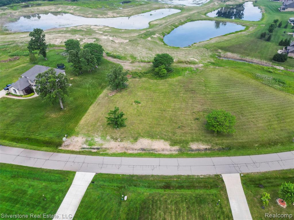 11572 Erins Way, Bruce, MI 48065 — Photo 8