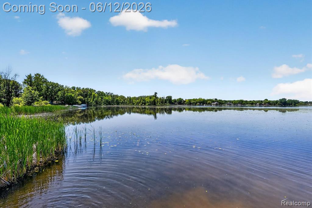 4615 Parker Drive, Howell, MI 48843 — Photo 59