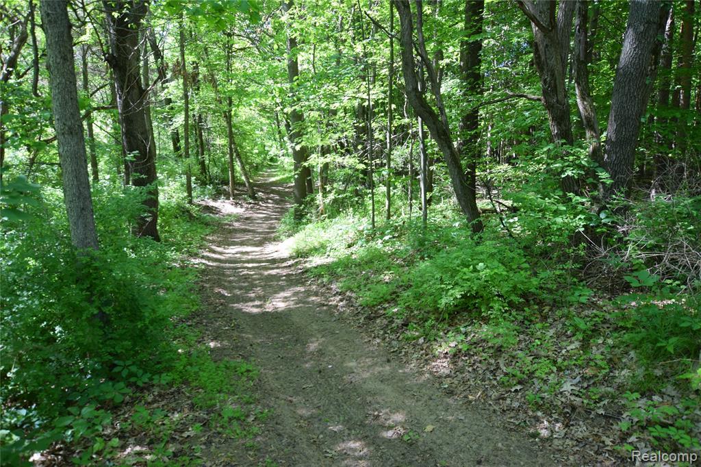 5298 Clear Lake Road, North Branch, MI 48461 — Photo 44