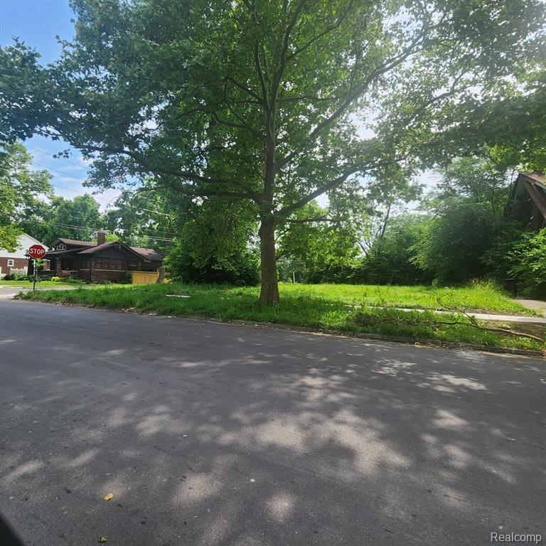 503 LAKEWOOD Street, Detroit, MI 48215 — Photo 2