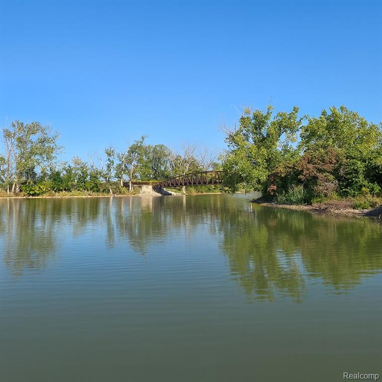 3132 Saint Pierre Street, Frenchtown, MI 48162 — Photo 36