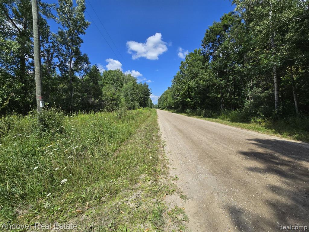 Leckrone Rd Parcel A, Brethren, MI 49619 — Photo 5