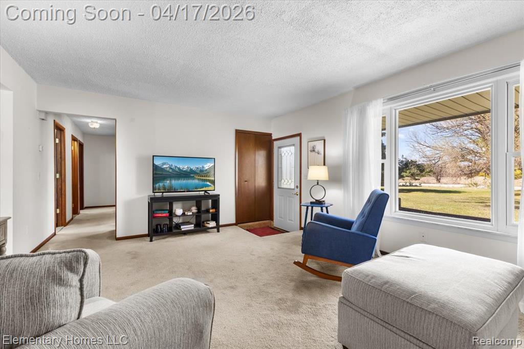 1650 Cove Road, Wales, MI — Photo 20