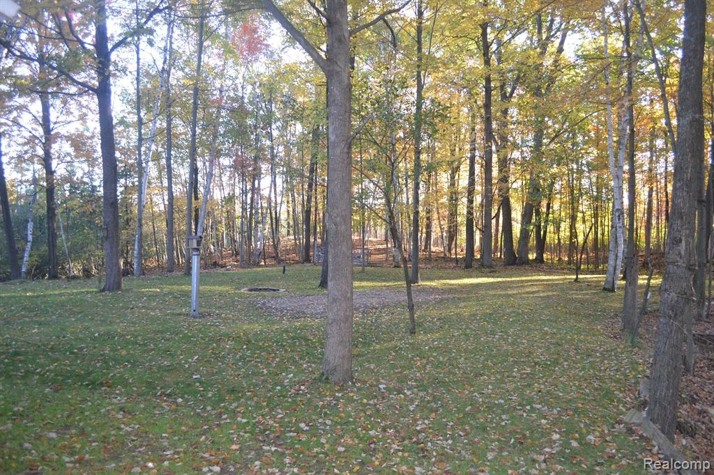 6375 JOANNE Street, Lake, MI 48632 — Photo 50