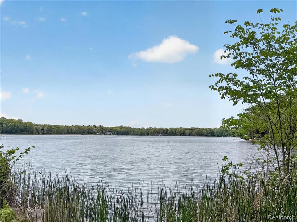 2086 Miles Road, Lapeer, MI 48446 — Photo 47