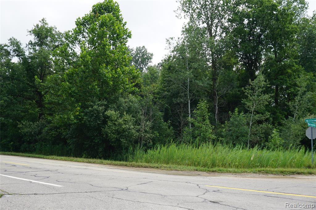 Vacant Willow Road, New Boston, MI 48164 — Photo 4