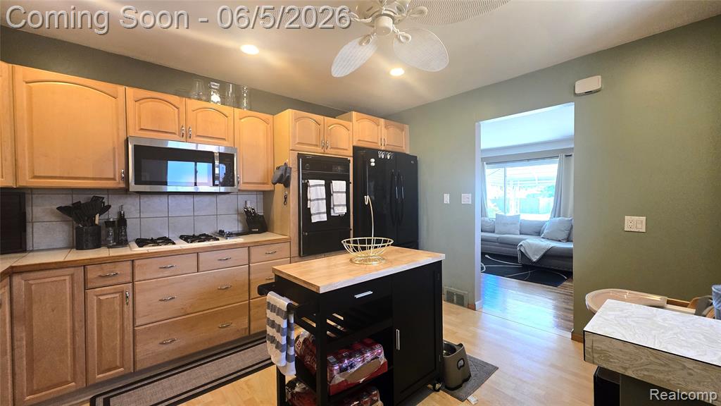 16017 Chestnut Street, Roseville, MI 48066 — Photo 12