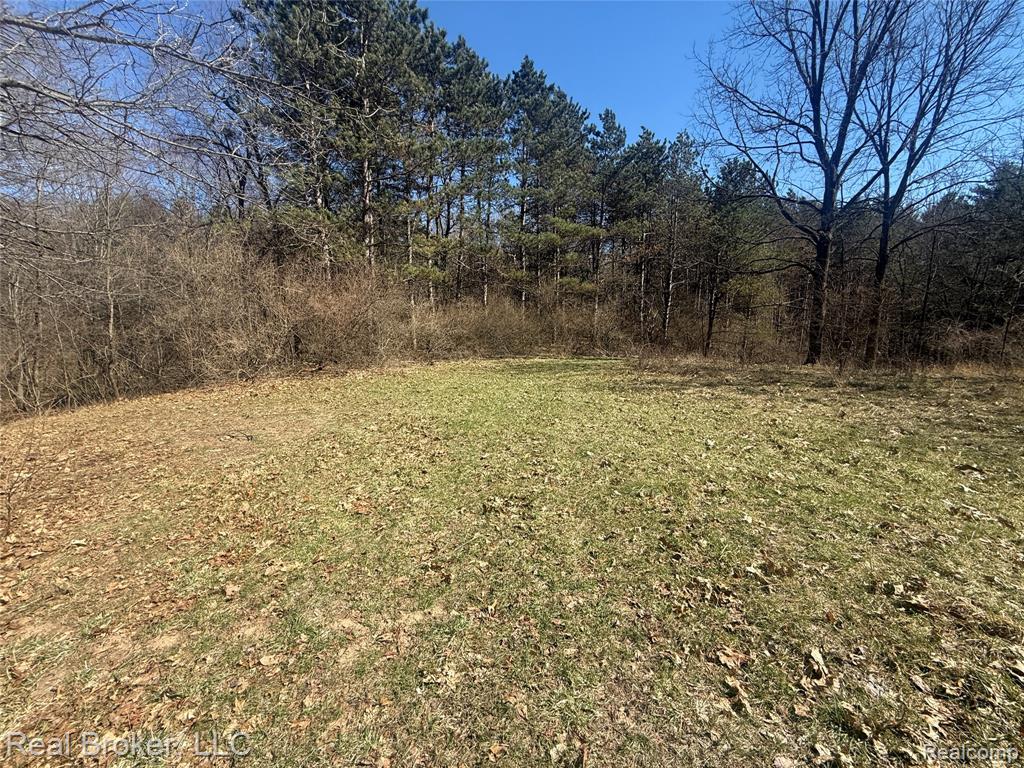 1802 N Elba Road, Lapeer, MI 48446 — Photo 51