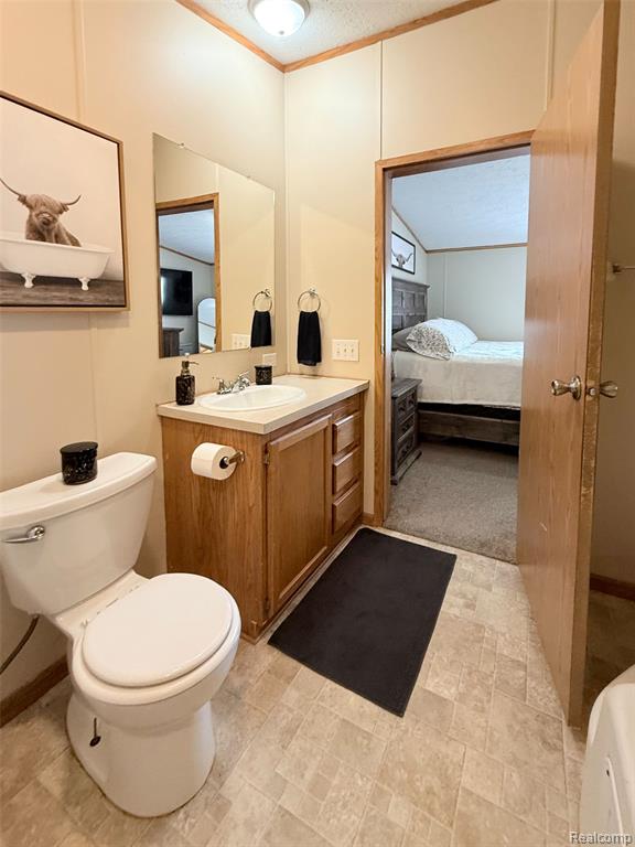 317 Scarlet Oak Lane, Whittaker, MI 48190 — Photo 10
