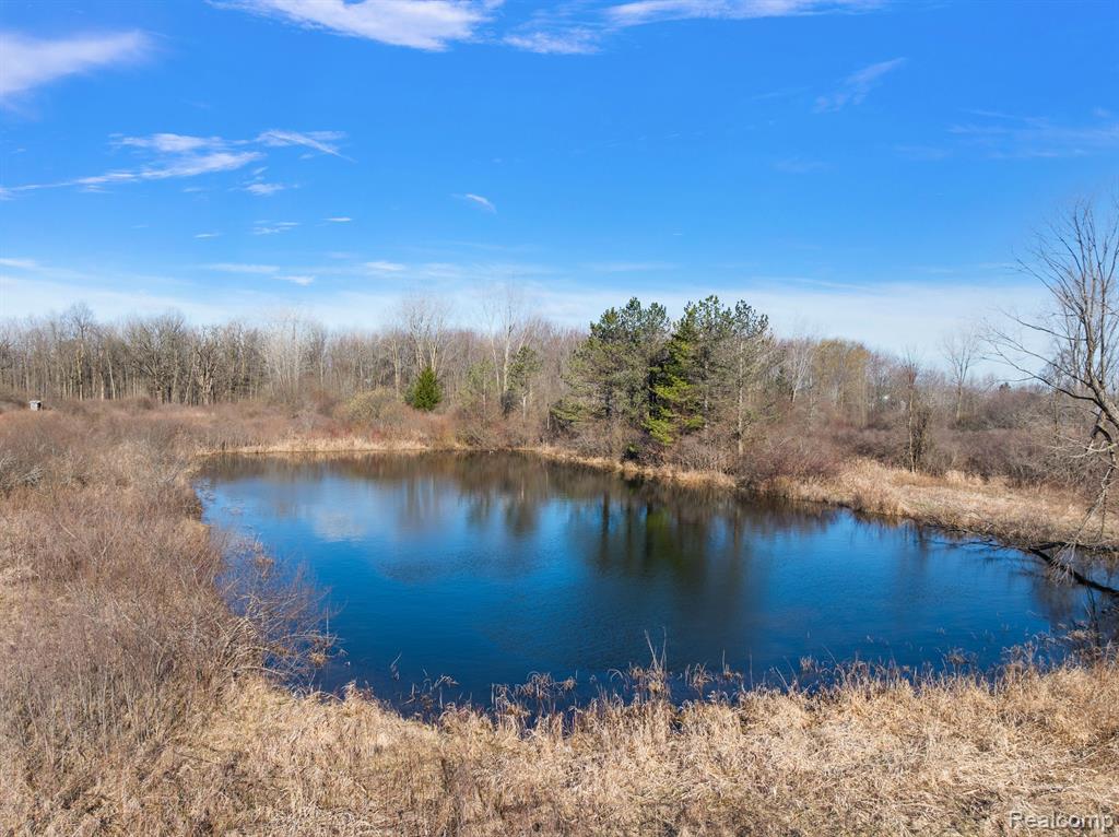 435 Capac Road, Berlin, MI 48002 — Photo 56