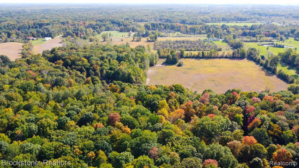8390 SPARLING Road, Wales, MI — Photo 12