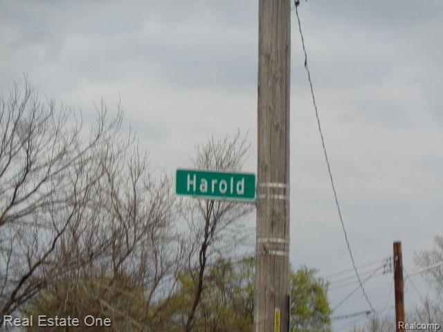 5678 HAROLD Street, Hamtramck, MI 48212 — Photo 5