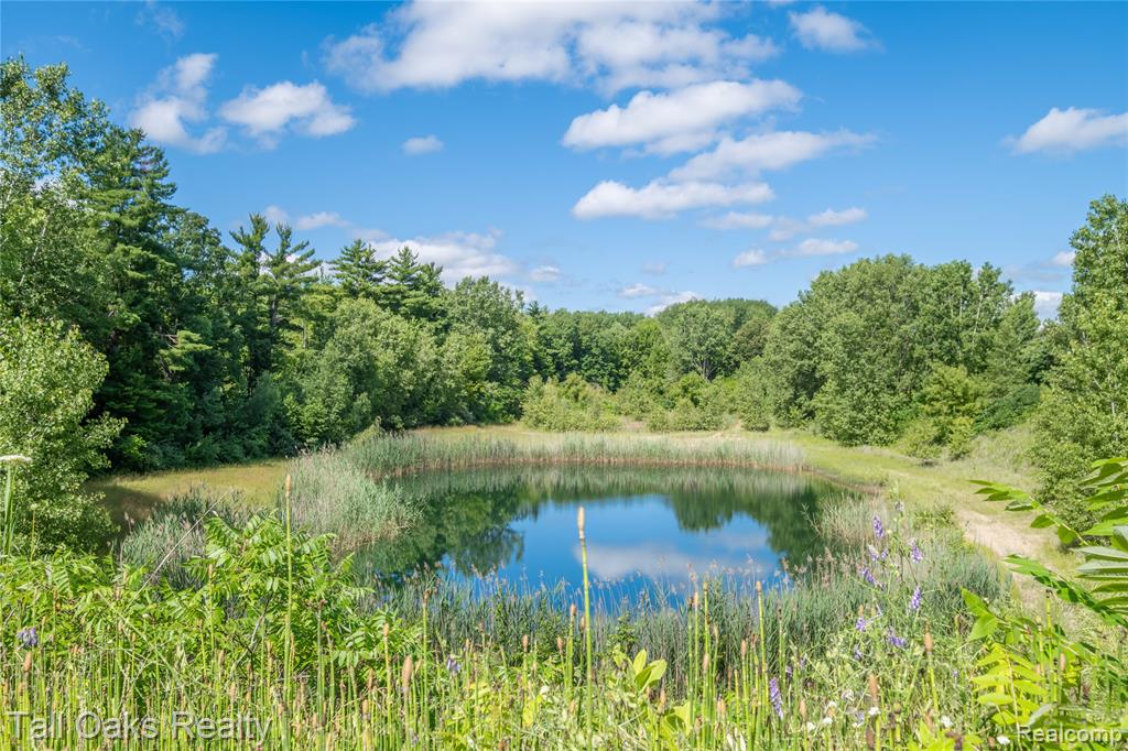 4097 Berlin Drive, Otter Lake, MI 48464 — Photo 32
