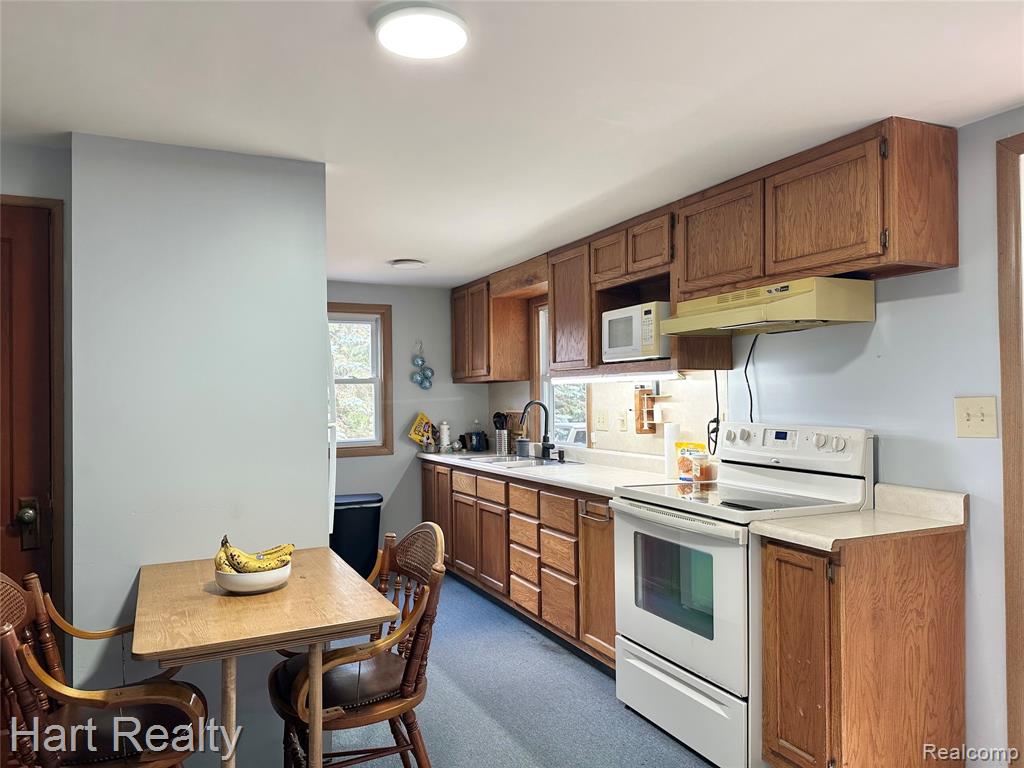 6520 Carpenter Street, Marlette, MI 48453 — Photo 4