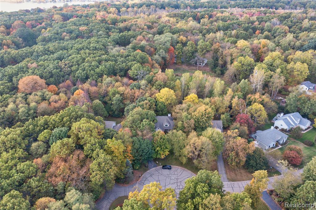 11410 Tall Shadows Court, Pinckney, MI 48169 — Photo 57