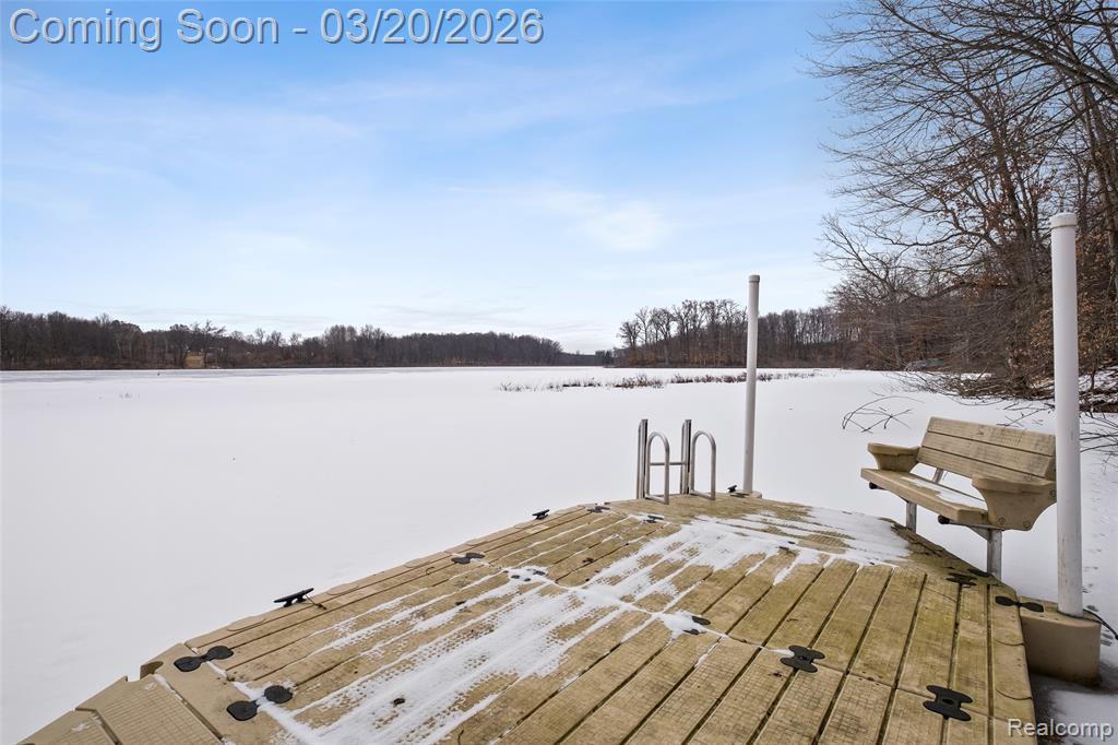 7207 Gurd Road, Hastings, MI 49058 — Photo 32