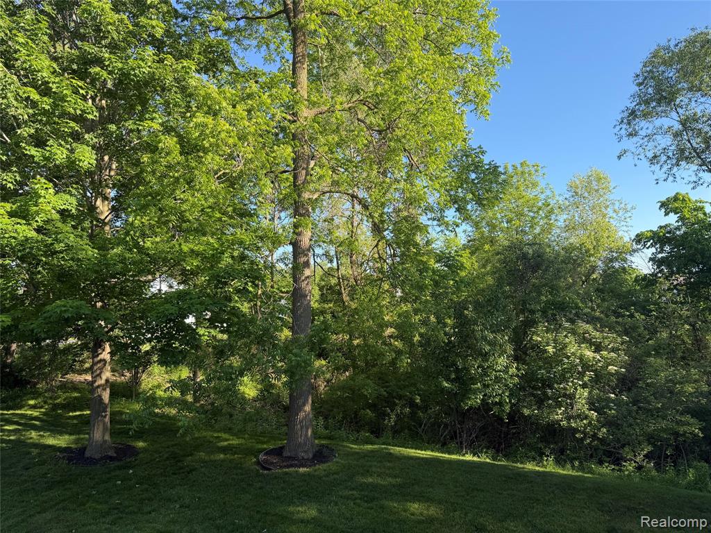 2380 Houghton Hollow Drive, Lansing, MI 48911 — Photo 7