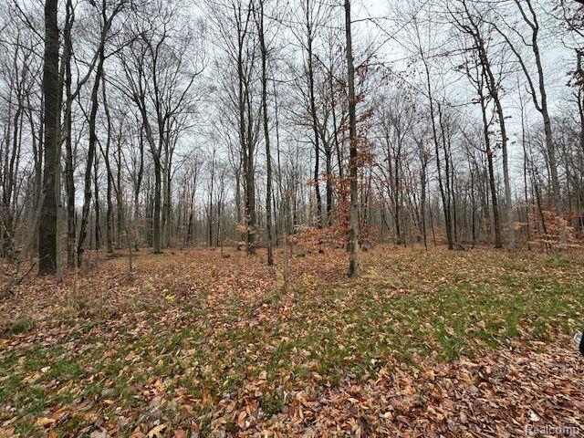 Parcel 1 MCCLEMENTS Road, Brighton, MI 48114 — Photo 3