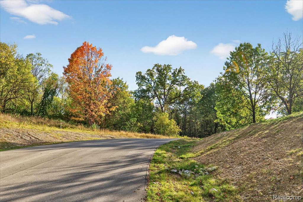 4050 Metamora Ridge, Metamora, MI 48455 — Photo 22