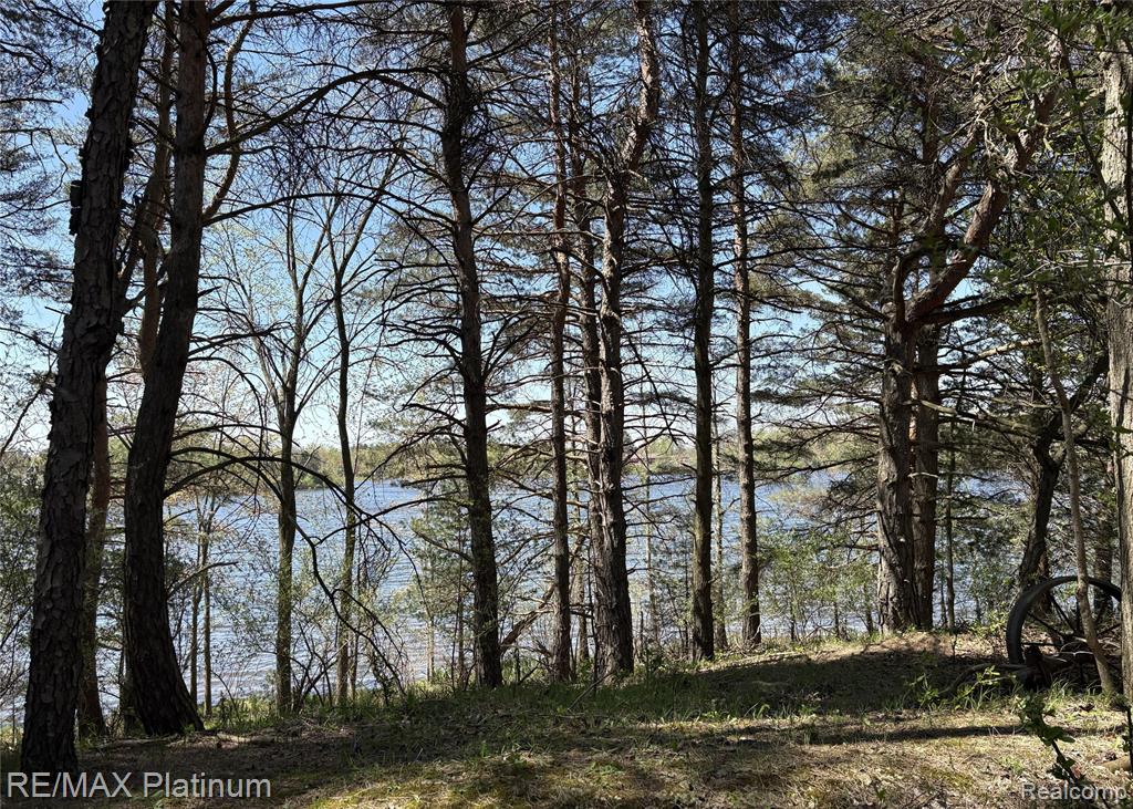 Parcel 3 Pineway Trail, Howell, MI 48855 — Photo 14