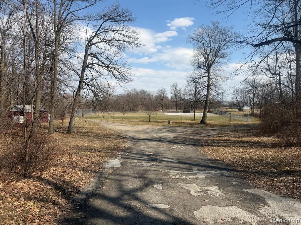 V/L Fulton, Mayville Vlg, MI 48744 — Photo 4