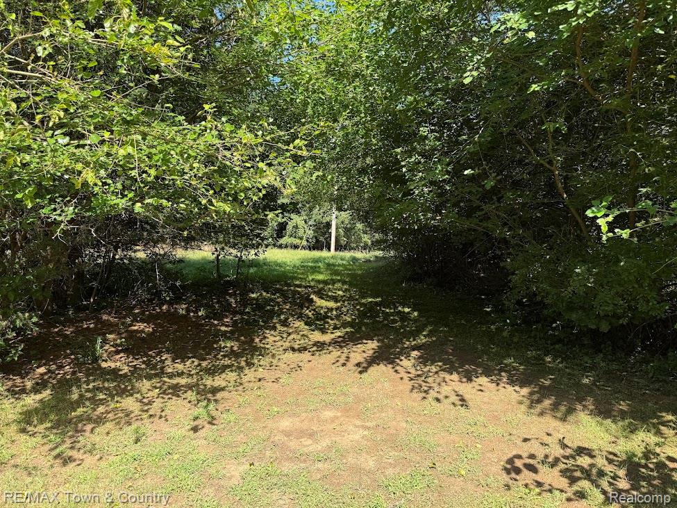 11493 N Bray Road, Clio, MI 48420 — Photo 37