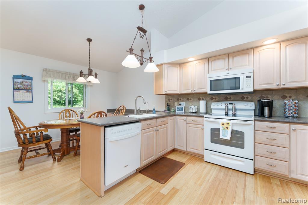159 Addison Circle, Fowlerville, MI 48836 — Photo 7
