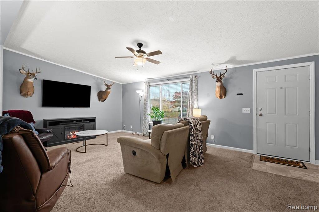 11198 SHADY GROVE, South Lyon, MI 48178 — Photo 4