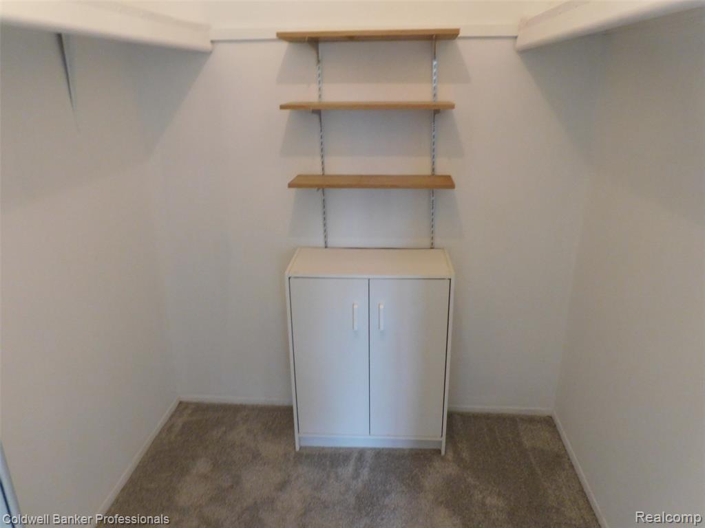 3915 Lone Pine Road, 100, West Bloomfield, MI 48323 — Photo 21