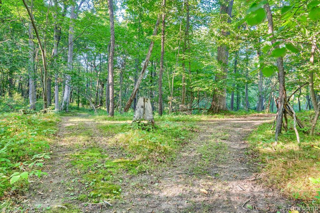 5279 Metamora Road, Metamora, MI 48455 — Photo 7