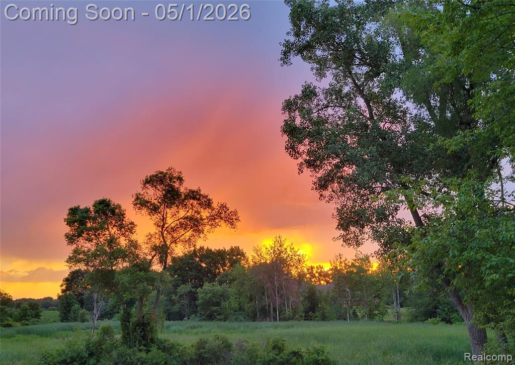 69774 / 69862 Fisher Road, Bruce, MI 48065 — Photo 75