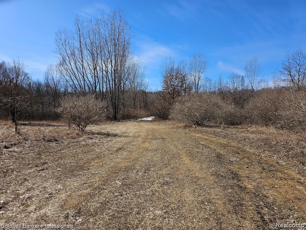 0 Jamestown Drive, Metamora, MI 48455 — Photo 12