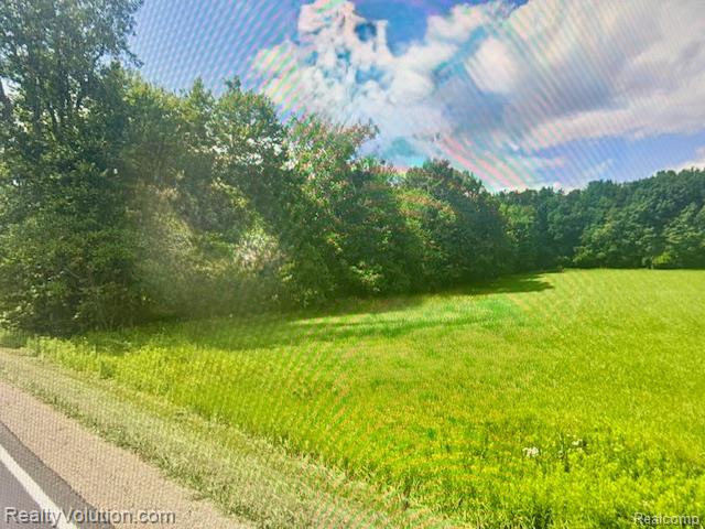 Parcel 1 Clear Lake Road, North Branch, MI 48461 — Photo 3