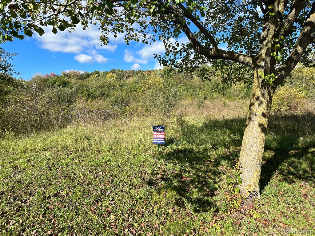 Search Homes for Sale