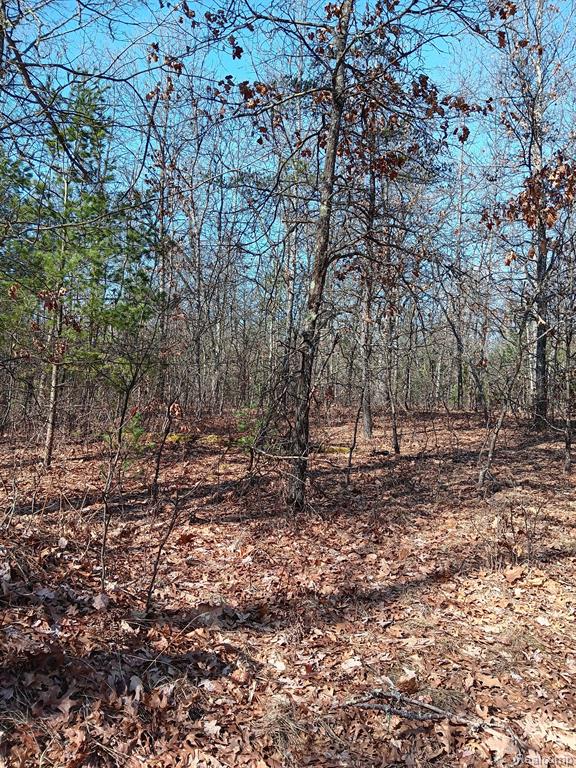 0000 Cedar Creek Road, Wellston, MI, 49689