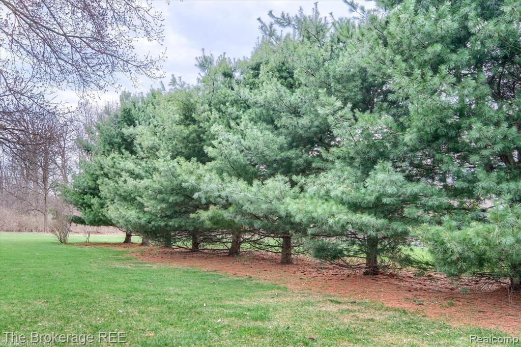 9055 N Island Drive, Flushing, MI 48433 — Photo 19
