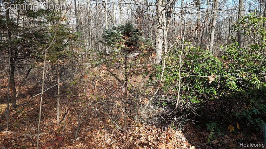 9300 Bath Road, Laingsburg, MI 48848 — Photo 10