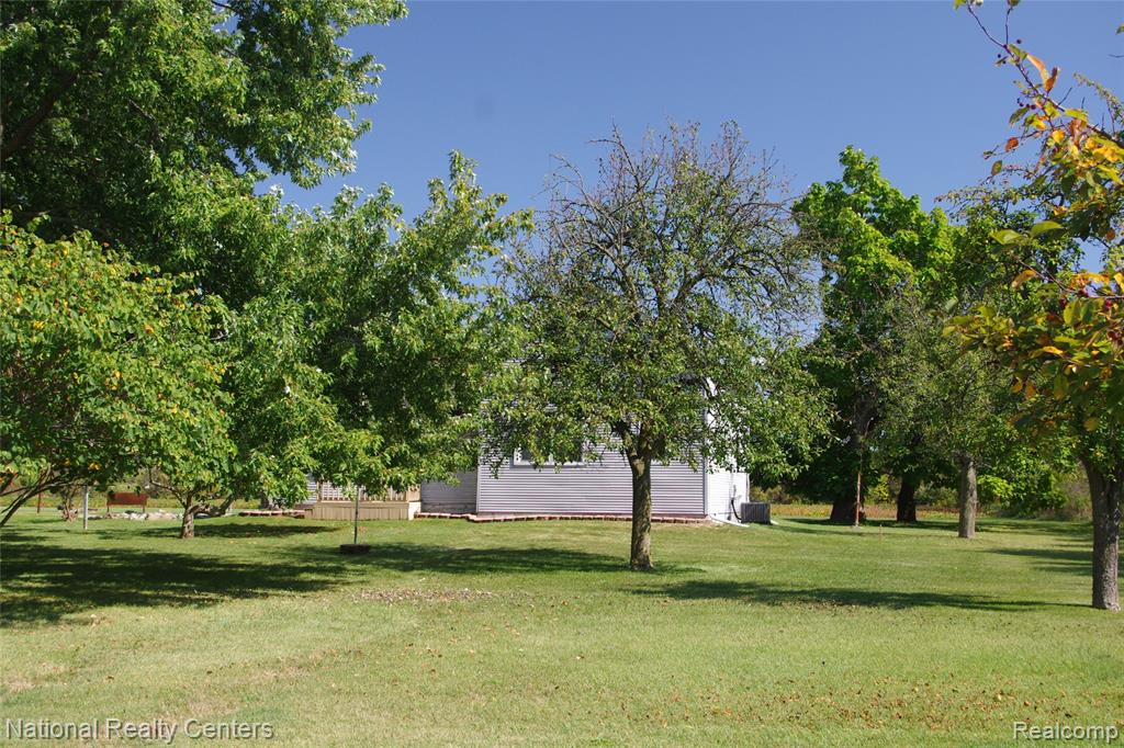 8276 War Road, Newport, MI 48166 — Photo 4