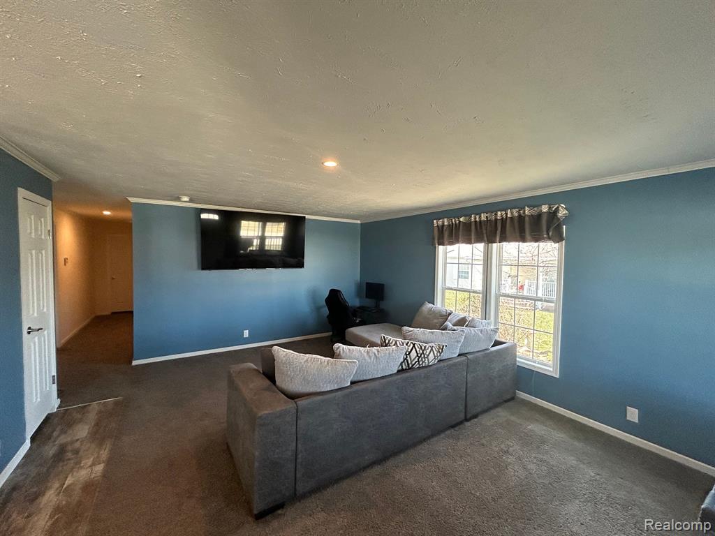 1698 SOLO Lane, Newport, MI 48166 — Photo 13