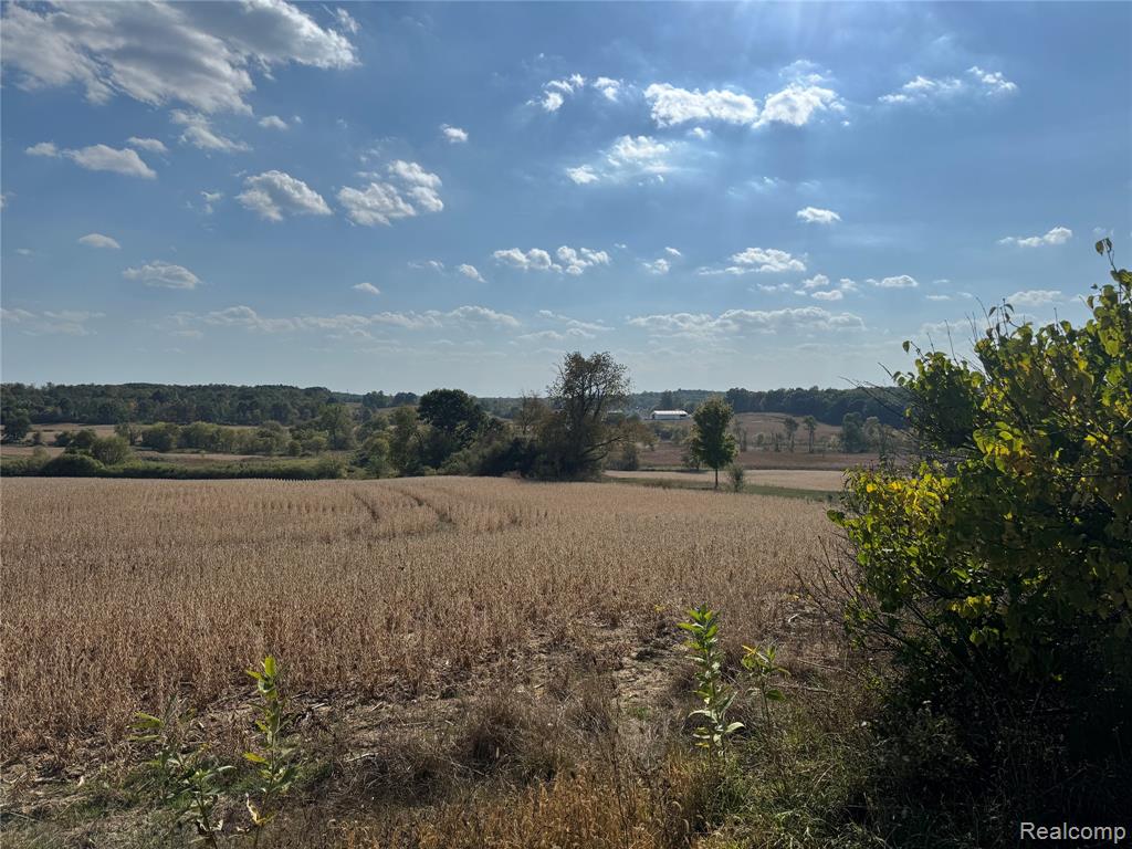 1243 Kile Road, Metamora, MI 48455 — Photo 40