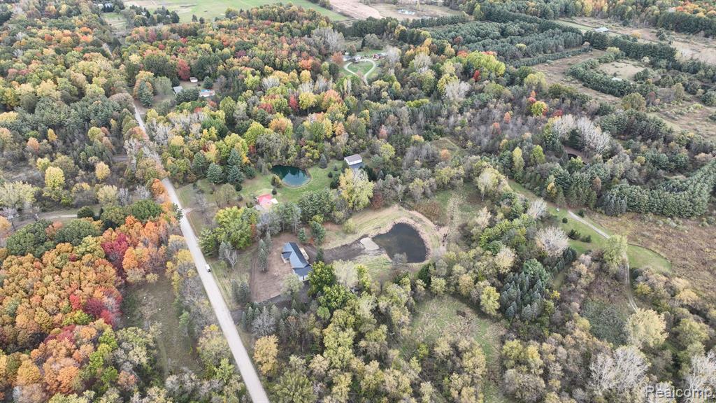4393 Lake George Road, Dryden, MI 48428 — Photo 35