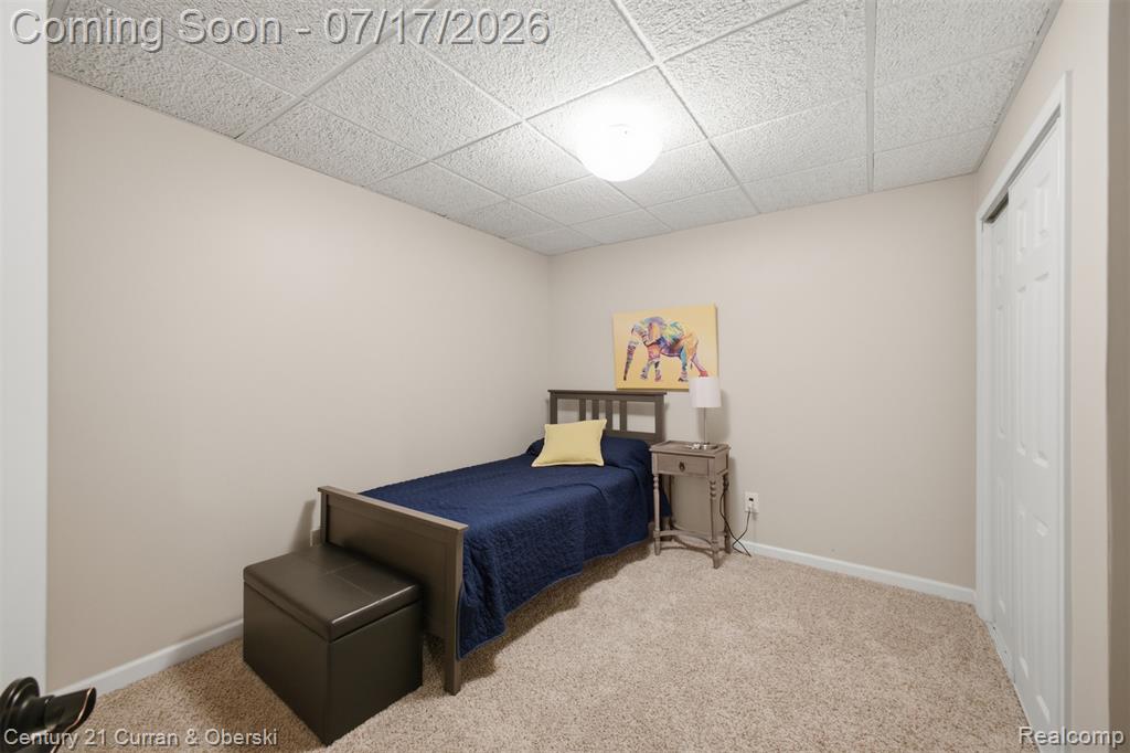 57283 Elk Run W, New Hudson, MI 48165 — Photo 39