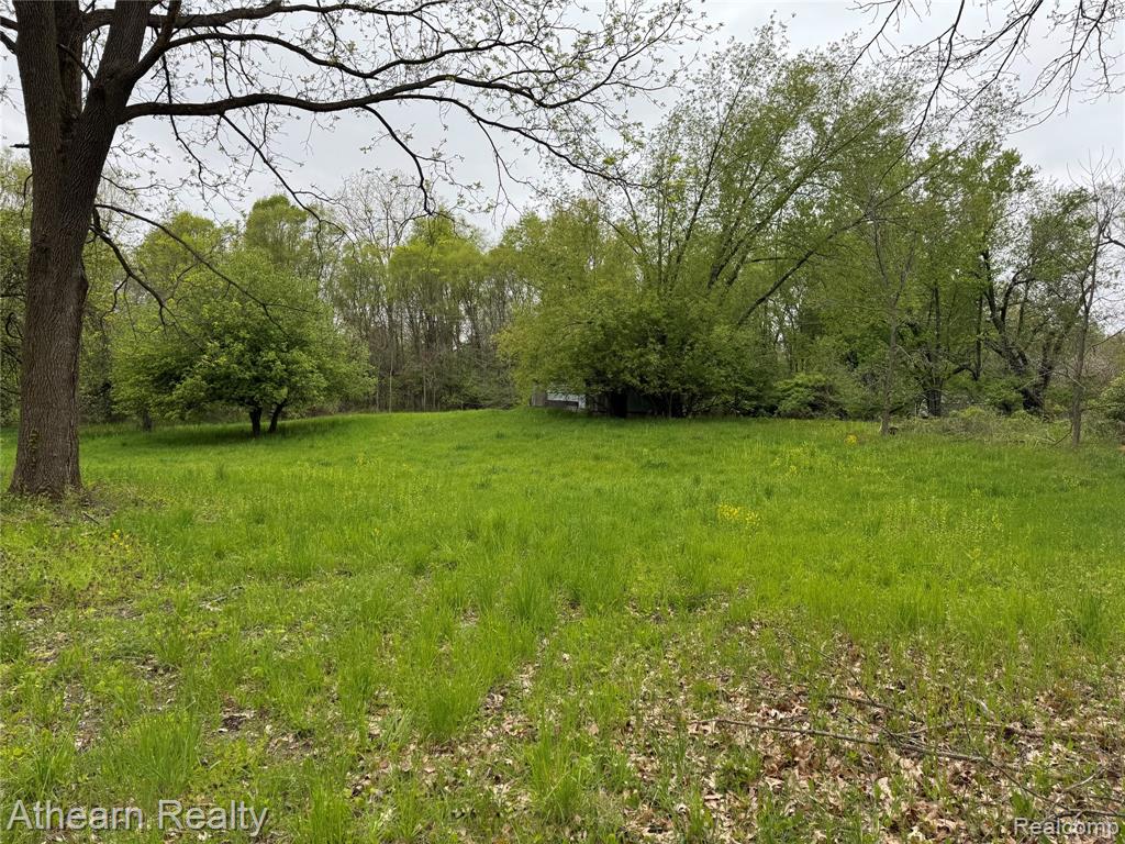 VL Dutton Rd Dutton Road, Gregory, MI 48137 — Photo 2