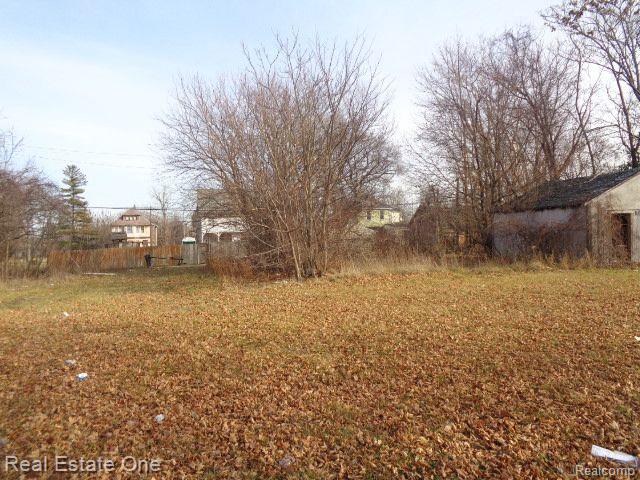 3806 BELVIDERE Street, Detroit, MI 48214 — Photo 4