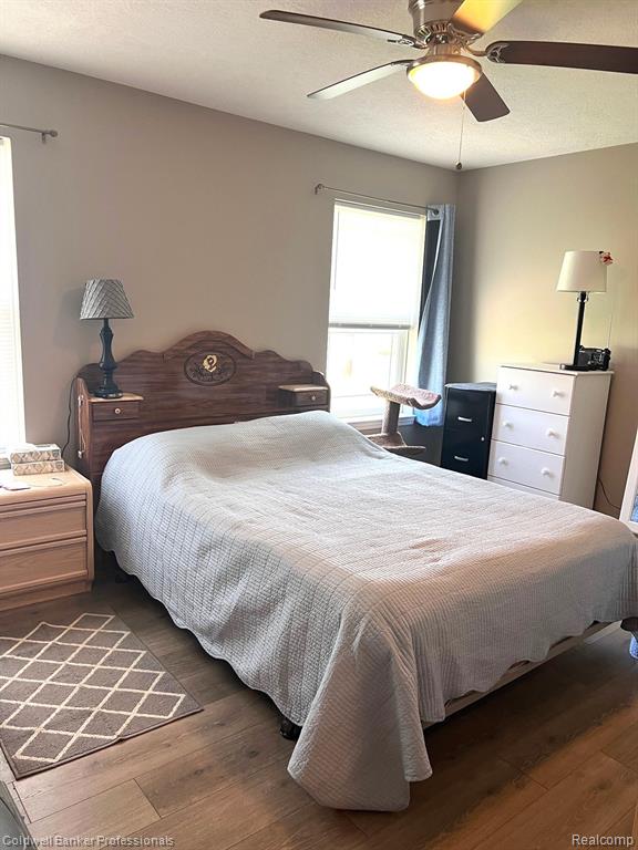 301 Saphire Street, Morrice, MI 48857 — Photo 7