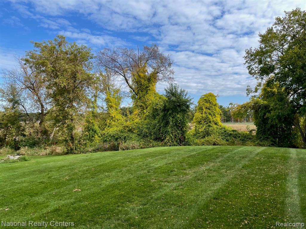 8719 Meadowbrook Drive, Brighton, MI 48116 — Photo 11